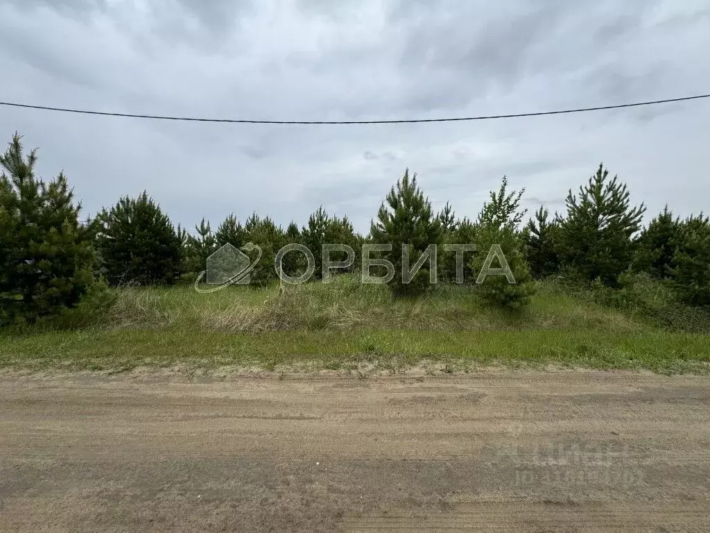 Участок в Тюменская область, Тюменский район, с. Каменка, Подушкино ... - Фото 0