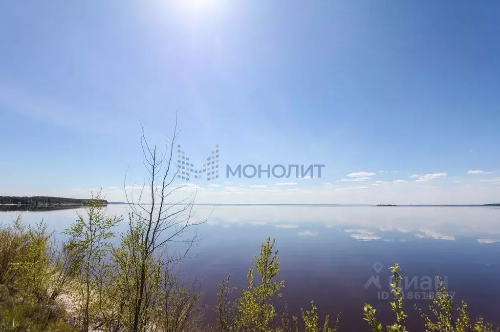 Участок в Нижегородская область, Сокольский муниципальный округ, с. ... - Фото 0