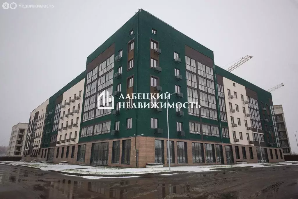 1-комнатная квартира: Ярославский муниципальный округ, деревня ... - Фото 1