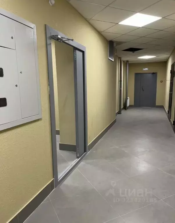 2-к кв. Новосибирская область, Новосибирск ул. Немировича-Данченко, ... - Фото 2