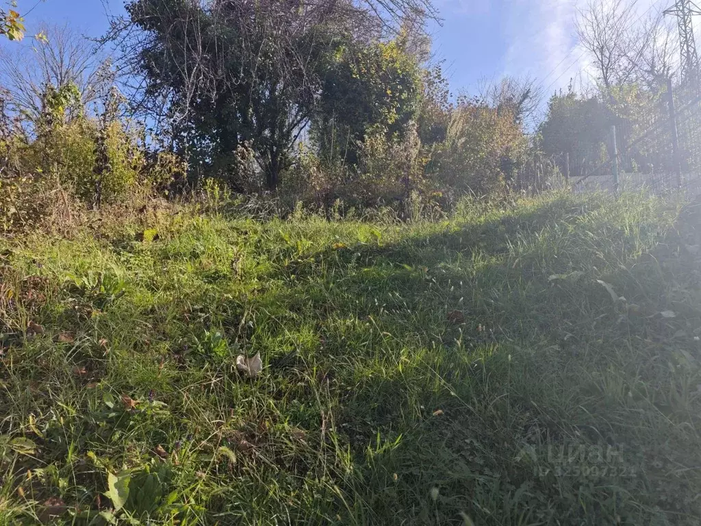 Участок в Краснодарский край, Сочи городской округ, с. Красная Воля  ... - Фото 1