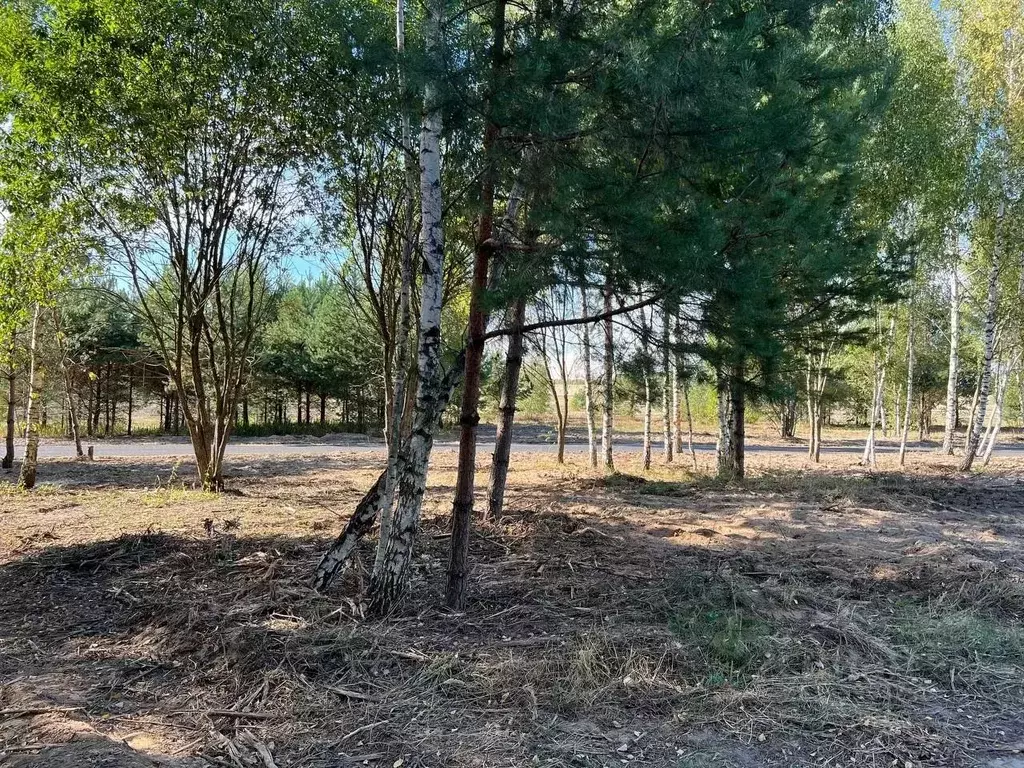 Участок в Московская область, Подольск городской округ, Пузиково кп 74 ... - Фото 1