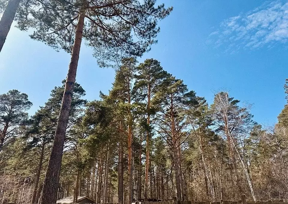 Участок в Московская область, Ступино городской округ, Сосны Вилладж ... - Фото 1