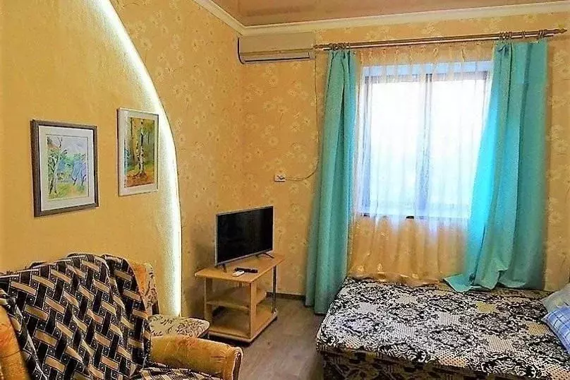 1-к кв. Крым, Ялта муниципальный округ, Симеиз пгт ул. Владимира ... - Фото 2