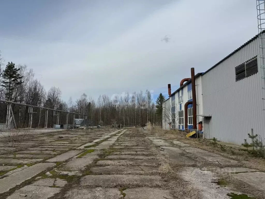 Склад в Брянская область, Брасовский район, Погребское с/пос, д. ... - Фото 1