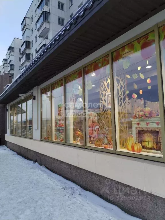 Торговая площадь в Челябинская область, Челябинск просп. Победы, 113 ... - Фото 1