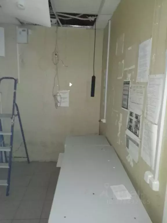 Торговая площадь в Удмуртия, Ижевск ул. Карла Маркса, 173 (300 м) - Фото 2