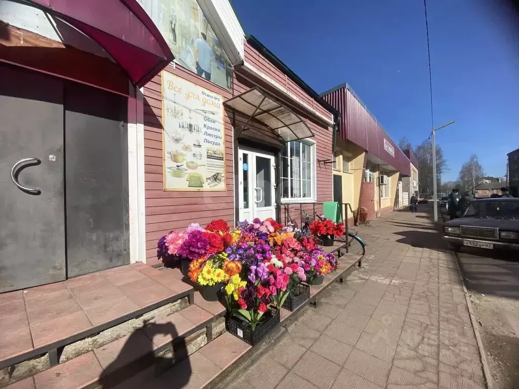 Торговая площадь в Смоленская область, Демидов Советская ул., 11 (298 ... - Фото 1