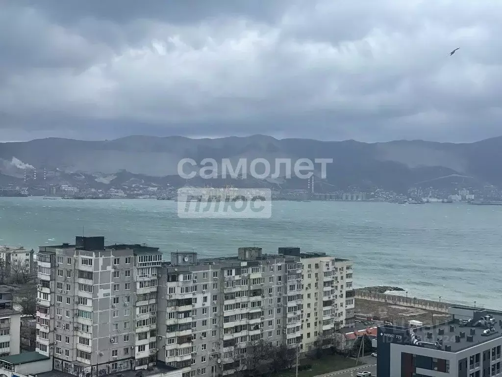 3-к кв. Краснодарский край, Новороссийск ул. Куникова, 1 (82.0 м) - Фото 1