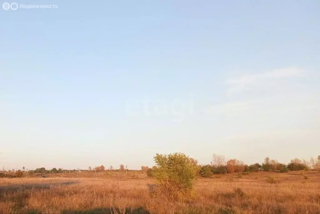 Участок в Красноярский край, Минусинский муниципальный округ, посёлок ... - Фото 2