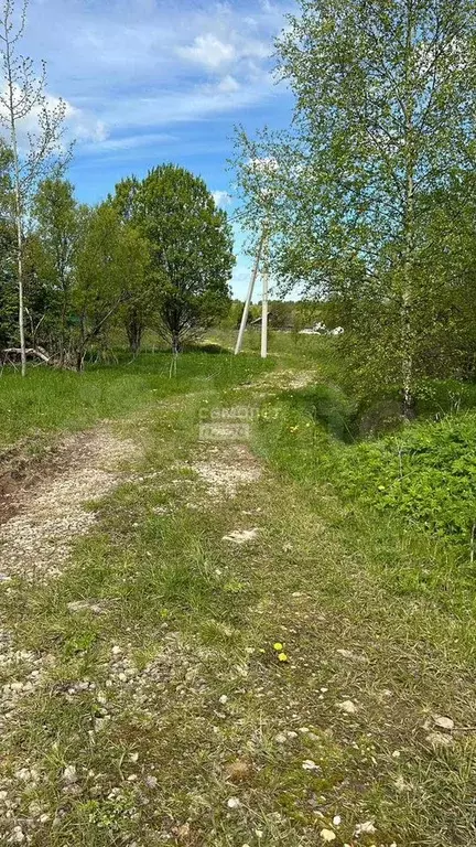 Участок 6,2 га (СНТ, ДНП) - Фото 1