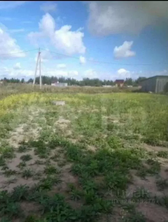 Участок в Новгородская область, Новгородский район, Ракомское с/пос, ... - Фото 1