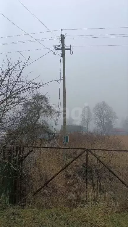 Участок в Смоленская область, Руднянский муниципальный округ, д. ... - Фото 1