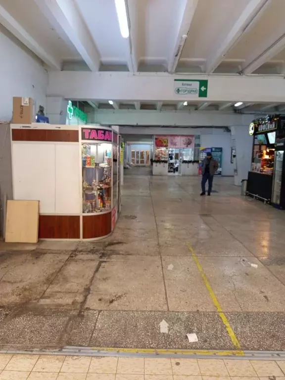 Торговая площадь в Московская область, Чехов ул. Полиграфистов, 1 (5 ... - Фото 1