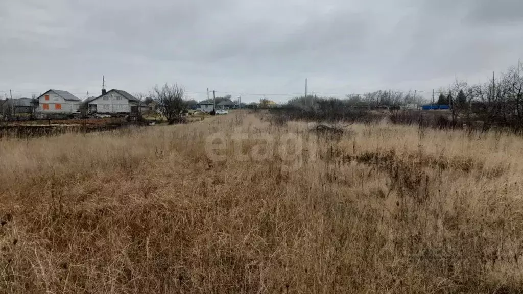 Участок в Воронежская область, Каширский район, Колодезянское с/пос, ... - Фото 2