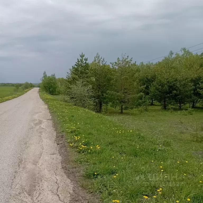Участок в Чувашия, Чебоксарский муниципальный округ, д. Сархорн пер. ... - Фото 2