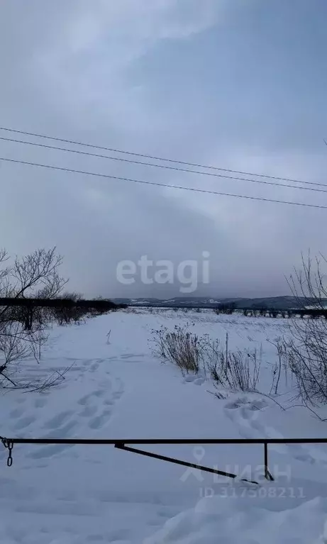 Участок в Сахалинская область, Анивский городской округ, с. Троицкое  ... - Фото 1