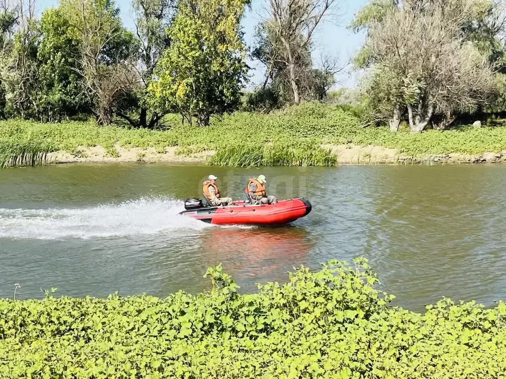 Участок в Астраханская область, Камызякский район, пос. Новинский  ... - Фото 1