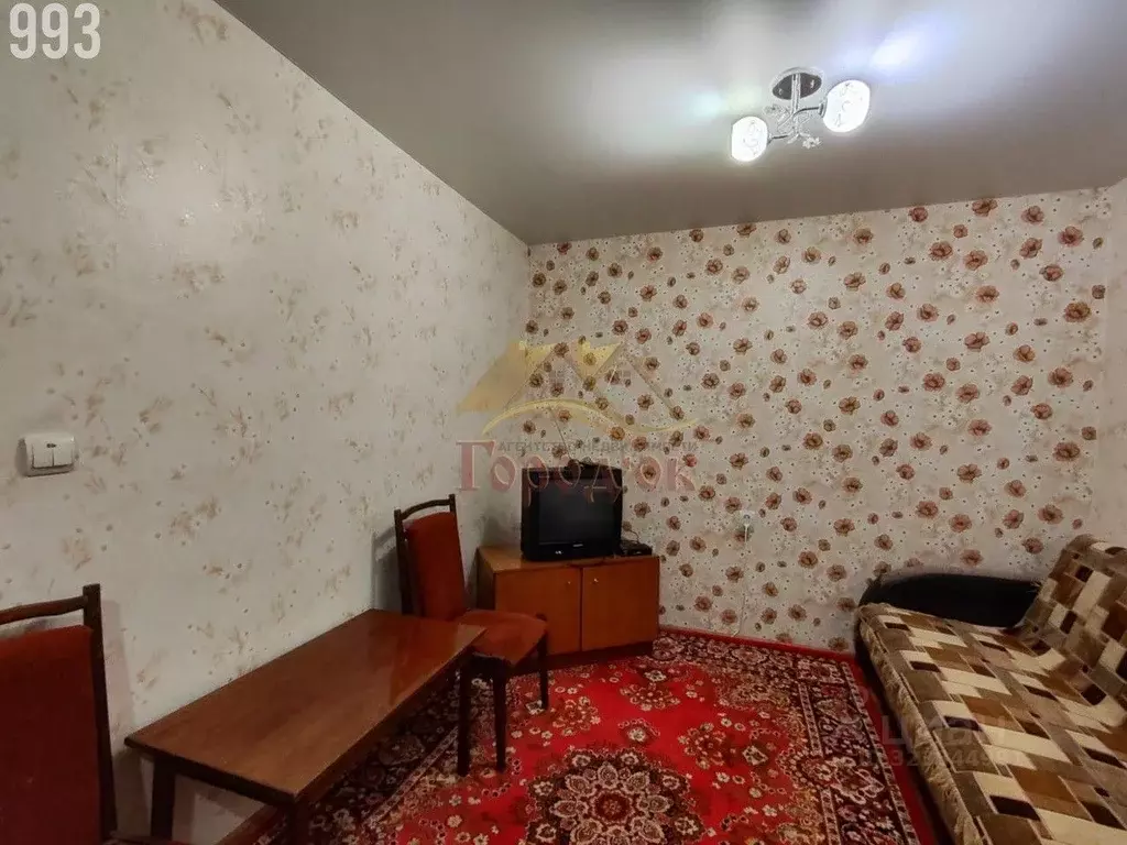 1-к кв. Воронежская область, Борисоглебск ул. Свободы (15.0 м) - Фото 2