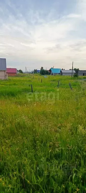 Участок в Алтайский край, Советский район, с. Платово Молодежная ул. ... - Фото 0