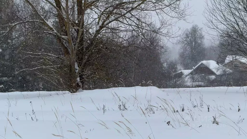 Участок в Московская область, Можайский муниципальный округ, д. ... - Фото 1