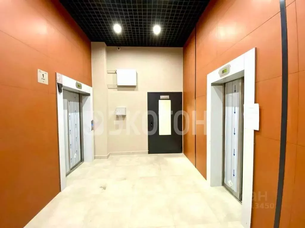 Студия Санкт-Петербург Железнодорожный просп., 14к1 (24.0 м) - Фото 2