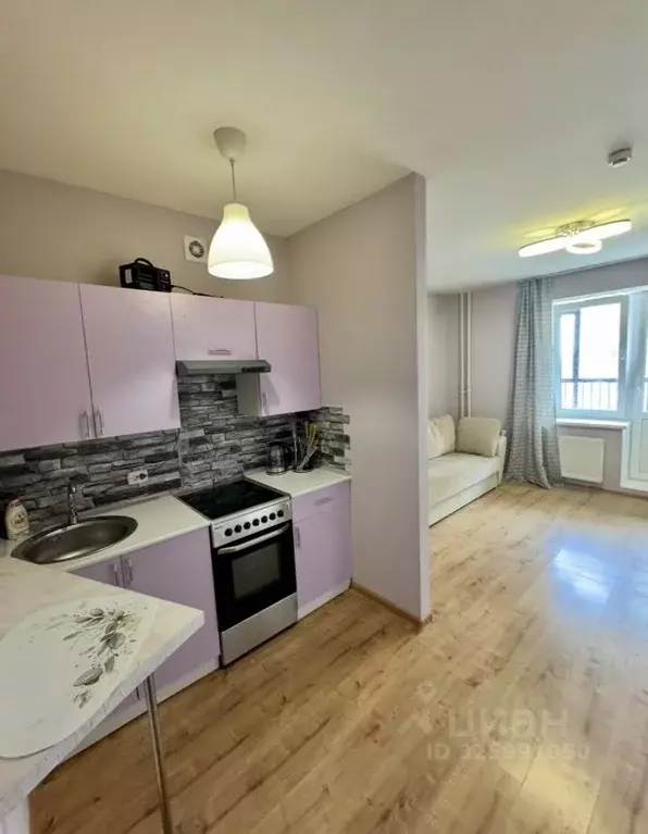 Студия Санкт-Петербург Усть-Славянка тер., просп. Советский, 12 (25.4 ... - Фото 2