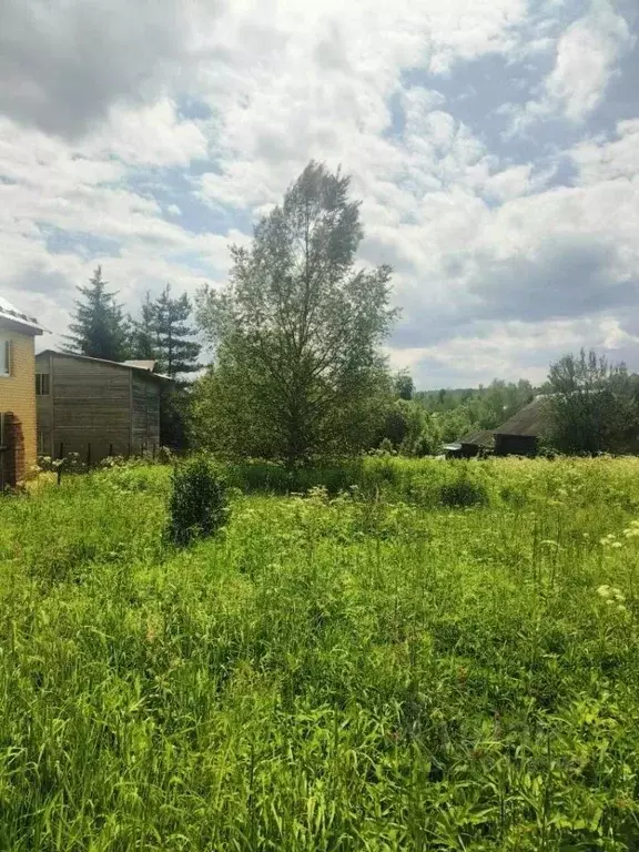 Участок в Владимирская область, Александровский район, Следневское ... - Фото 0