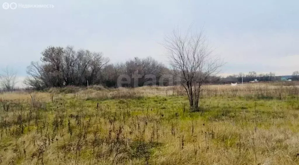 Участок в Воронеж, микрорайон Подклетный (7.94 м) - Фото 2