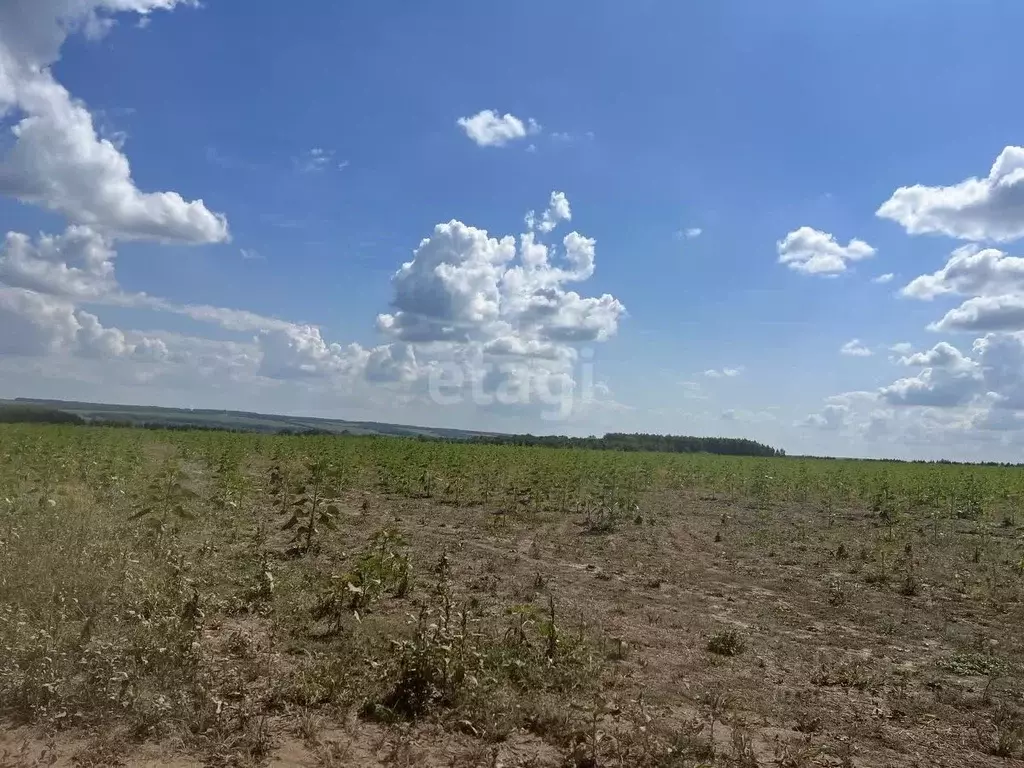 Участок в Татарстан, Верхнеуслонский район, Набережно-Морквашское ... - Фото 0