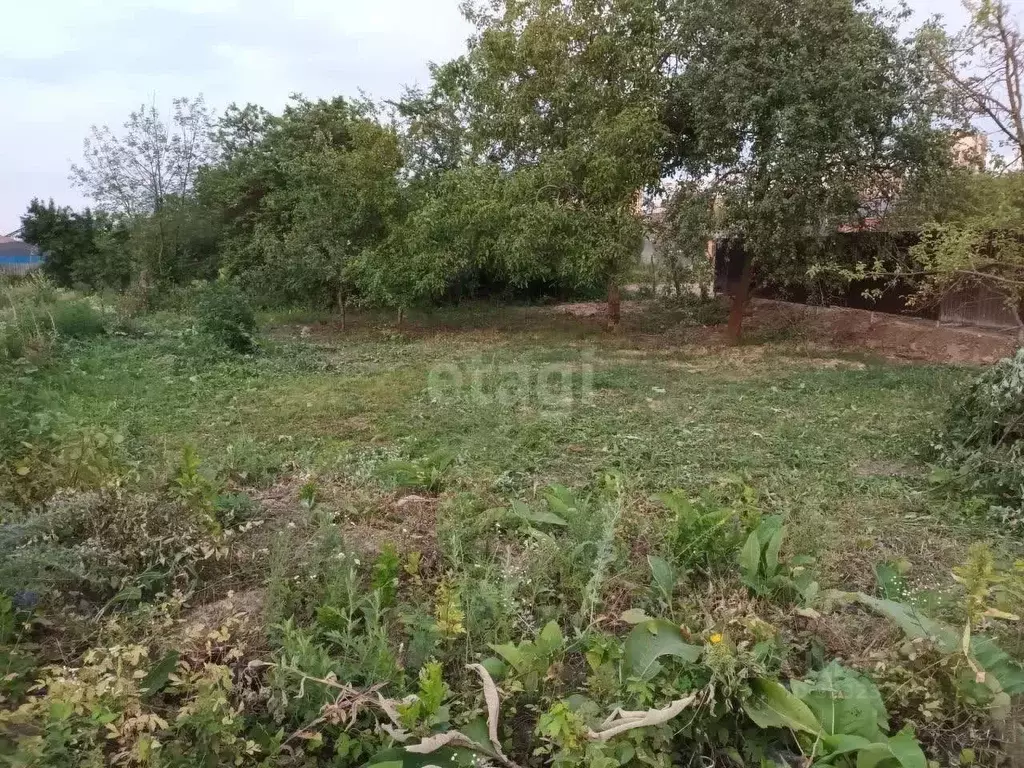 Участок в Ростовская область, Орловский район, Пролетарский хут.  (6.7 ... - Фото 1