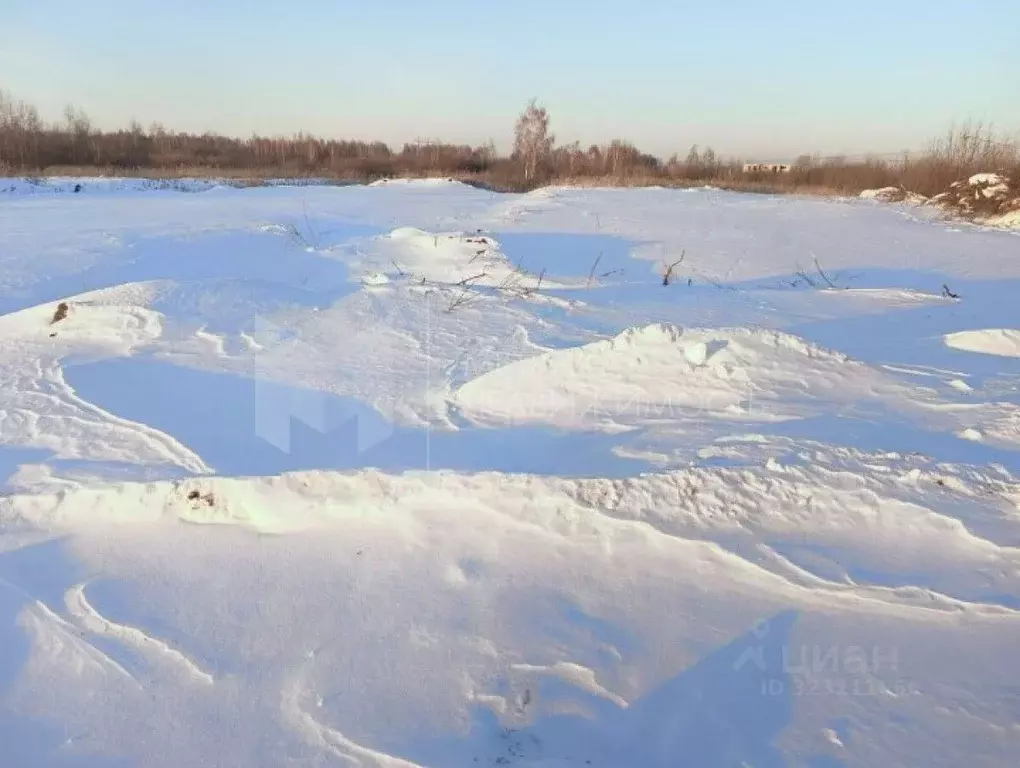Дом в Тюменская область, Тюмень Светлячок садовое товарищество, ул. ... - Фото 1