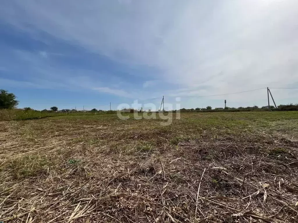 Участок в Ростовская область, Аксайский район, Ольгинское с/пос, ... - Фото 2