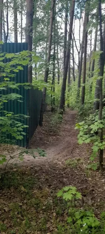 Участок в Тамбовская область, Тамбов городской округ, пос. Тригуляй, ... - Фото 1