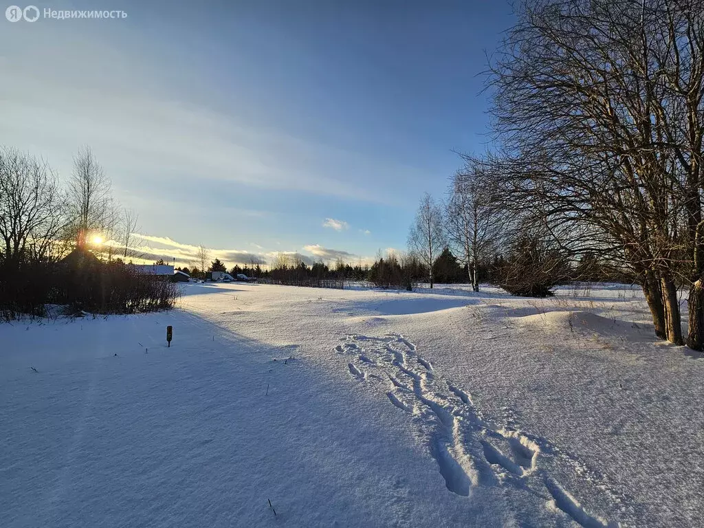 Участок в Архангельская область, Котласский муниципальный округ, ... - Фото 2