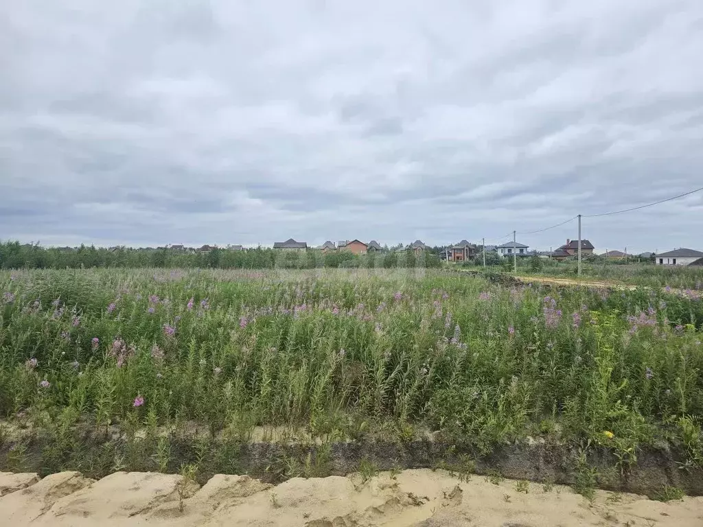 Участок в Тюменская область, Тюменский муниципальный округ, с. ... - Фото 1