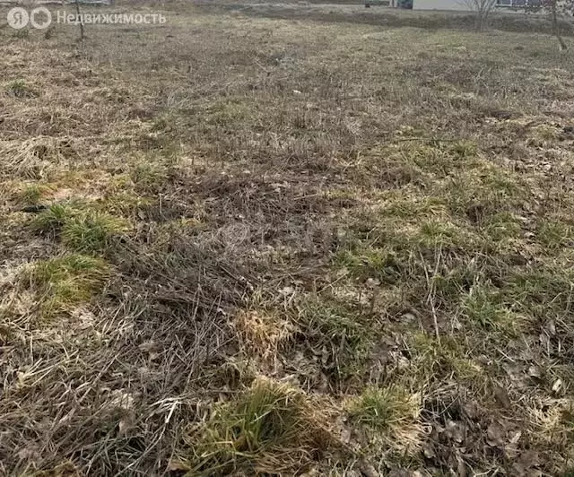 Участок в Калининградская область, Зеленоградский муниципальный округ, ... - Фото 2