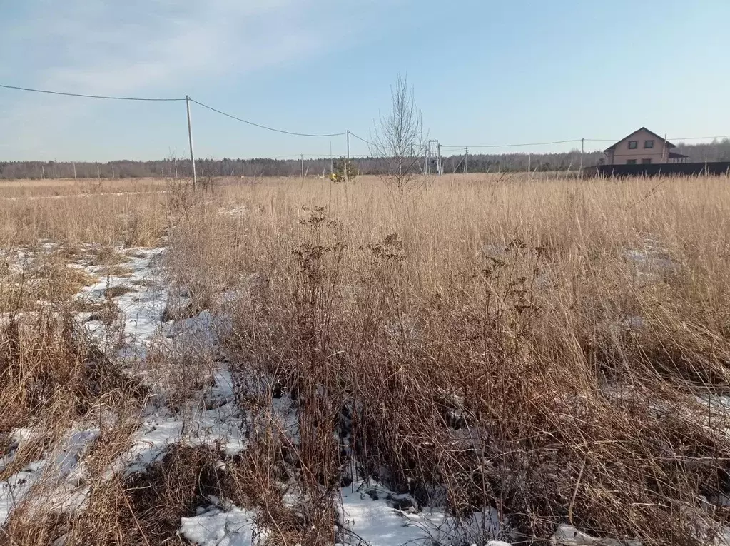 Участок в Московская область, Орехово-Зуевский городской округ, д. ... - Фото 0