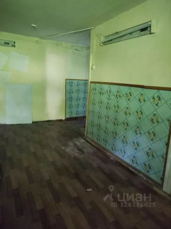 Помещение свободного назначения в Амурская область, Архаринский ... - Фото 2