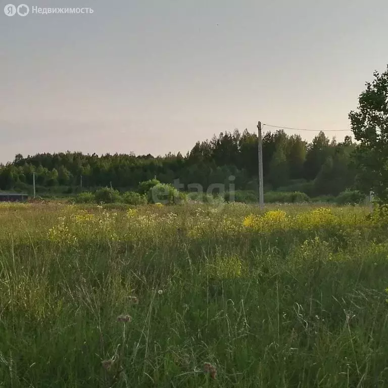 Участок в Ярославская область, Тутаевский муниципальный округ, ... - Фото 1