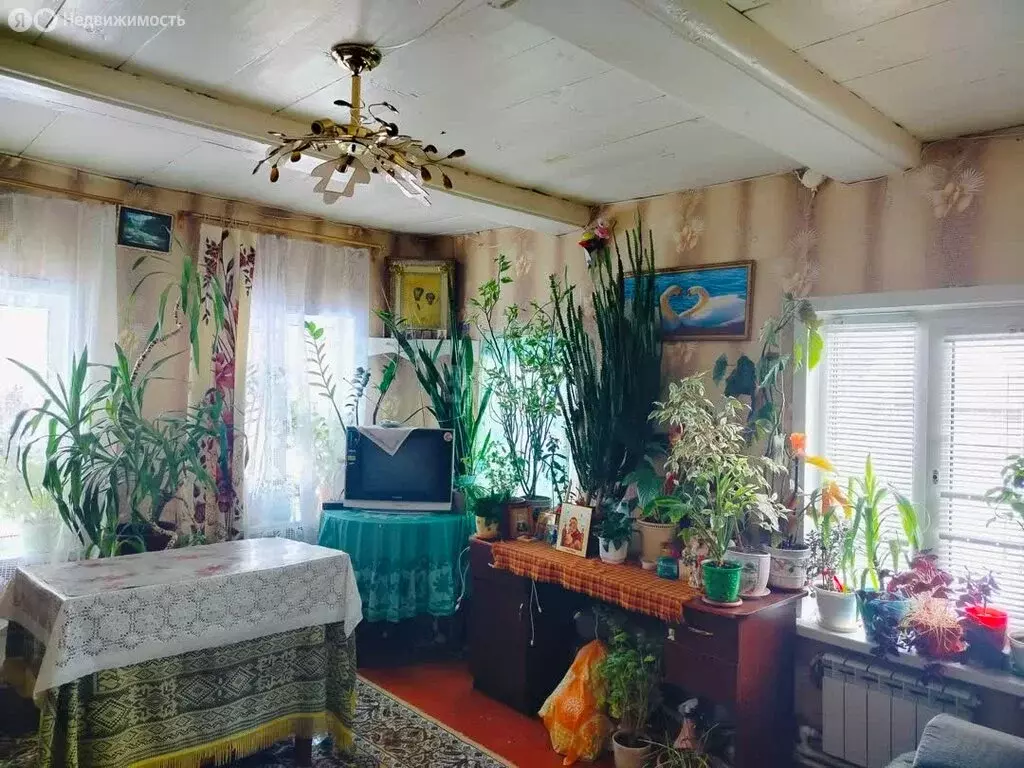 Дом в село Большие Березники, Нижняя улица (48 м) - Фото 1