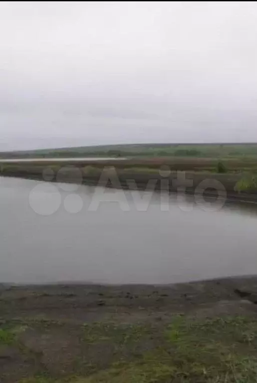 Участок 214,5 га (СНТ, ДНП) - Фото 1