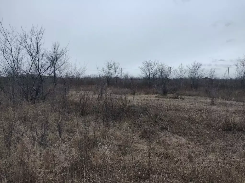 Участок в Хакасия, Усть-Абаканский район, с. Зеленое ул. Почтовая ... - Фото 2