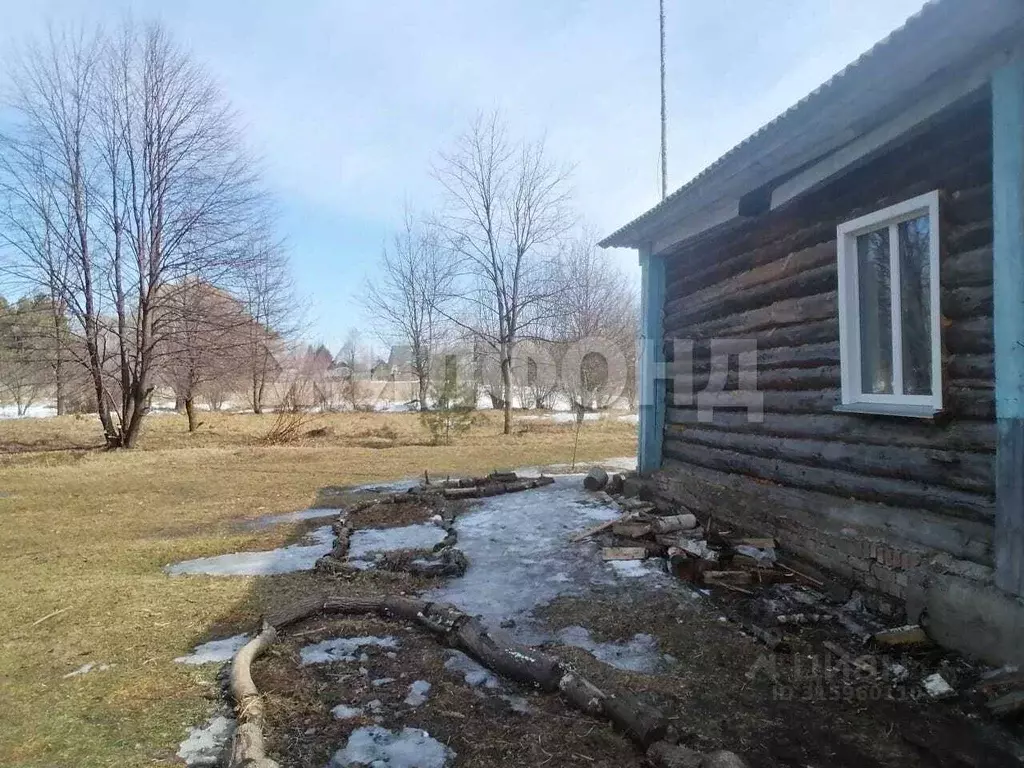 Дом в Новосибирская область, Колыванский район, д. Красный Яр ... - Фото 1
