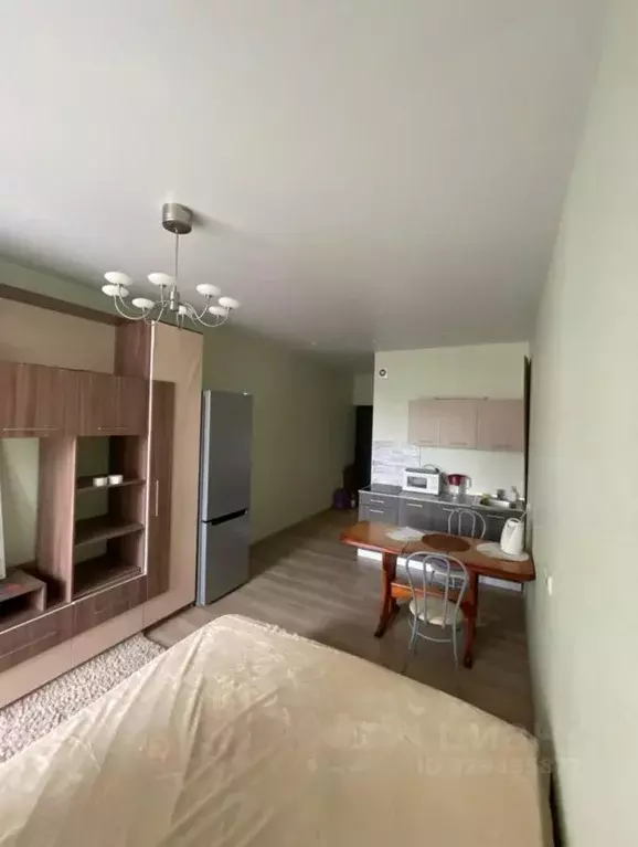 Студия Московская область, Лосино-Петровский городской округ, ... - Фото 2