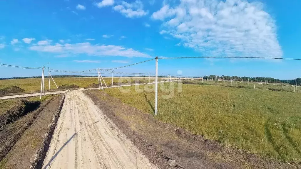 Участок в Тюменская область, Тюменский муниципальный округ, Каменское ... - Фото 1