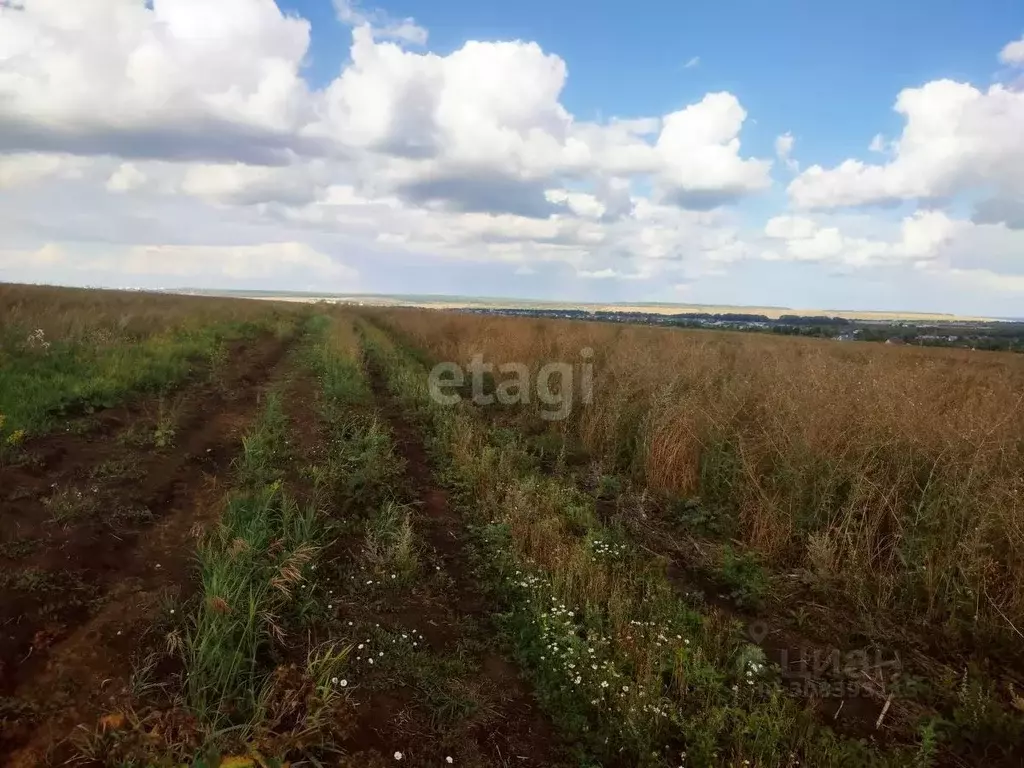 Участок в Мордовия, Саранск городской округ, с. Куликовка  (10.0 сот.) - Фото 0