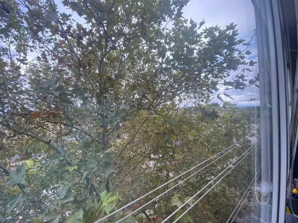 2-к кв. Севастополь ул. Генерала Коломийца, 9 (52.0 м) - Фото 2