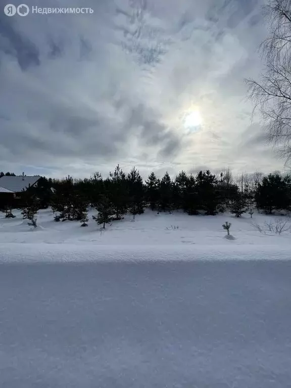 Участок в Ивановский муниципальный округ, СНТ Новое Клинцево (15 м) - Фото 1