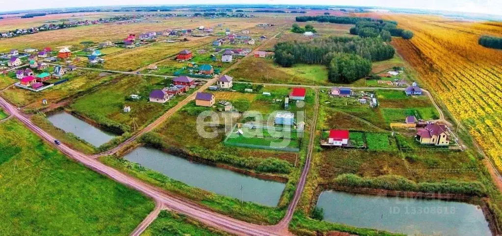 Ребровка омская область. Ребровка Омск. Село Ребровка Омск. ДНП Ребровка-2 и царек шумов.